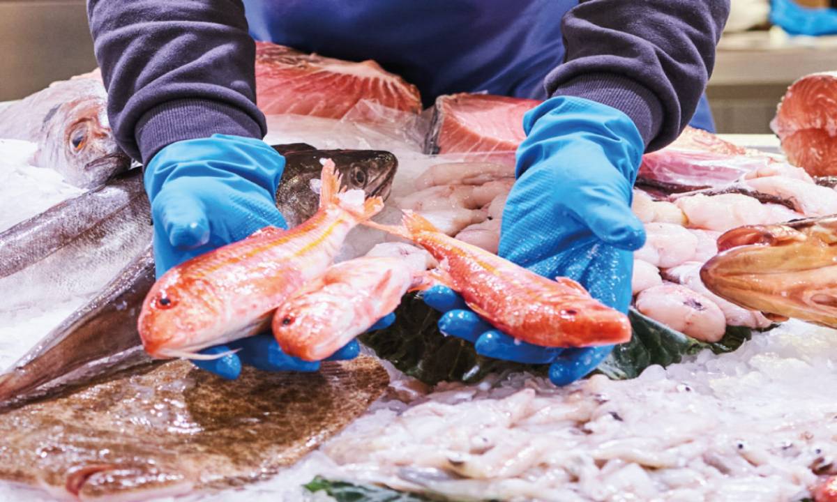 5 consejos para comprar un buen pescado fresco