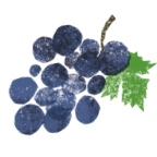 Uva
