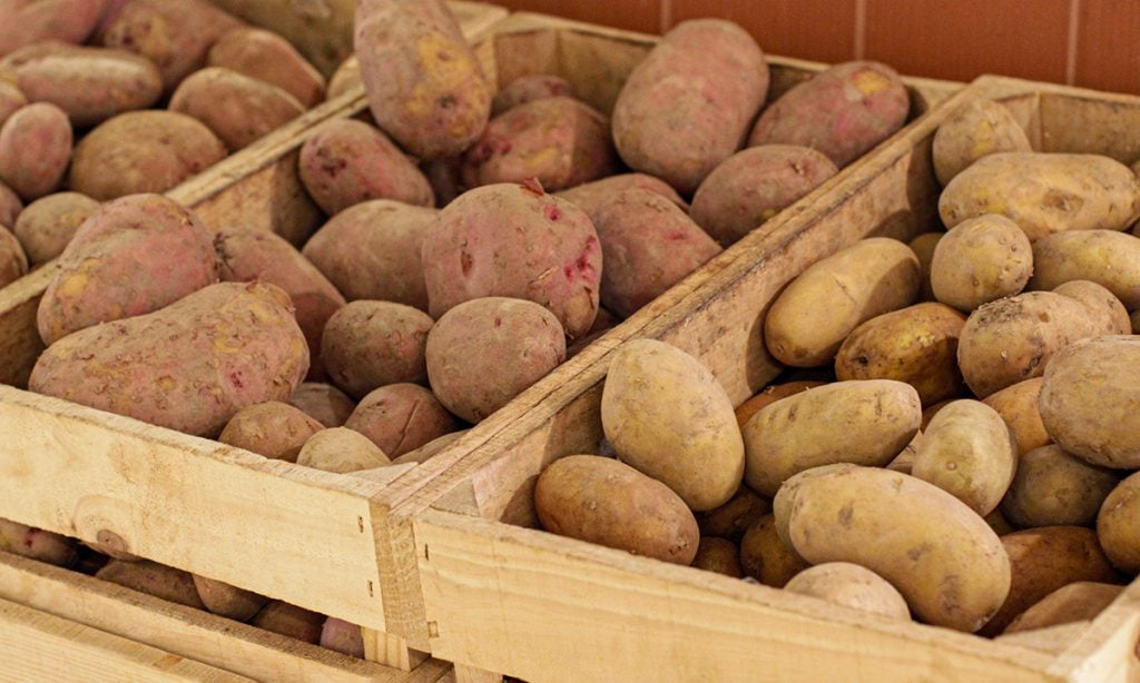 patatas