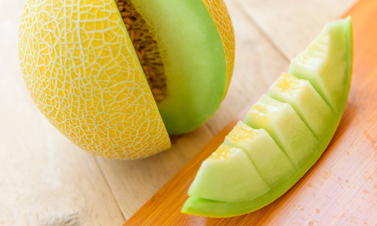 Melon Galia Propiedades At Georgia Ramsey Blog Melon Galia Propiedades At Georgia Ramsey Blog