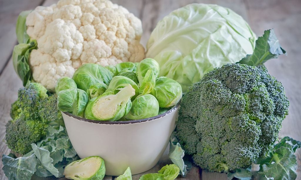 crucíferes